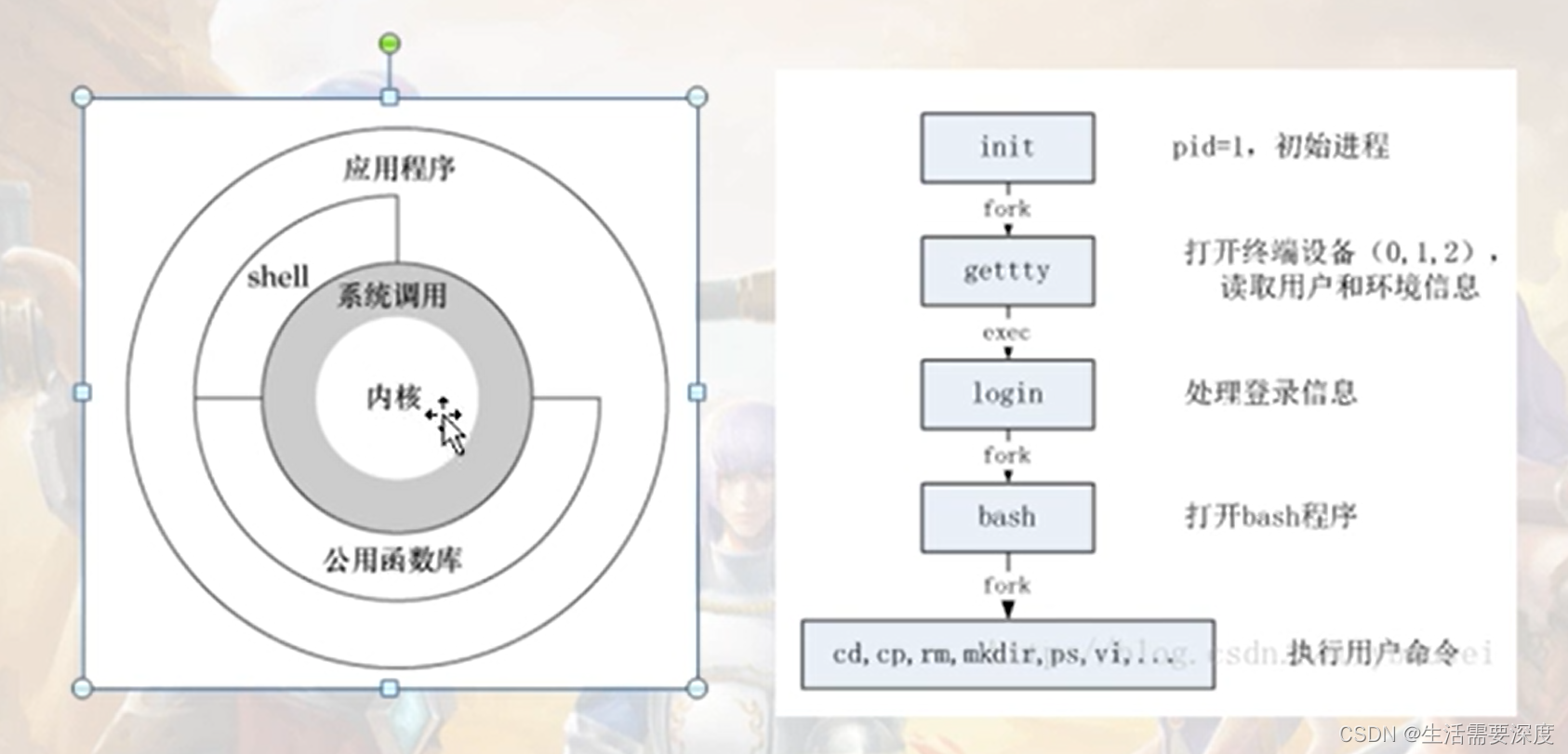 Unix Linux体系结构 Linux C 网络编程 九 生活需要深度的博客 Csdn博客