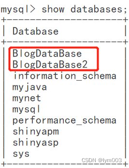 .NET6 + EF Core + MySQL 创建实体和数据库、EFCore 数据迁移