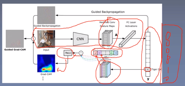 pytorch基础学习 第五章 pytorch训练过程