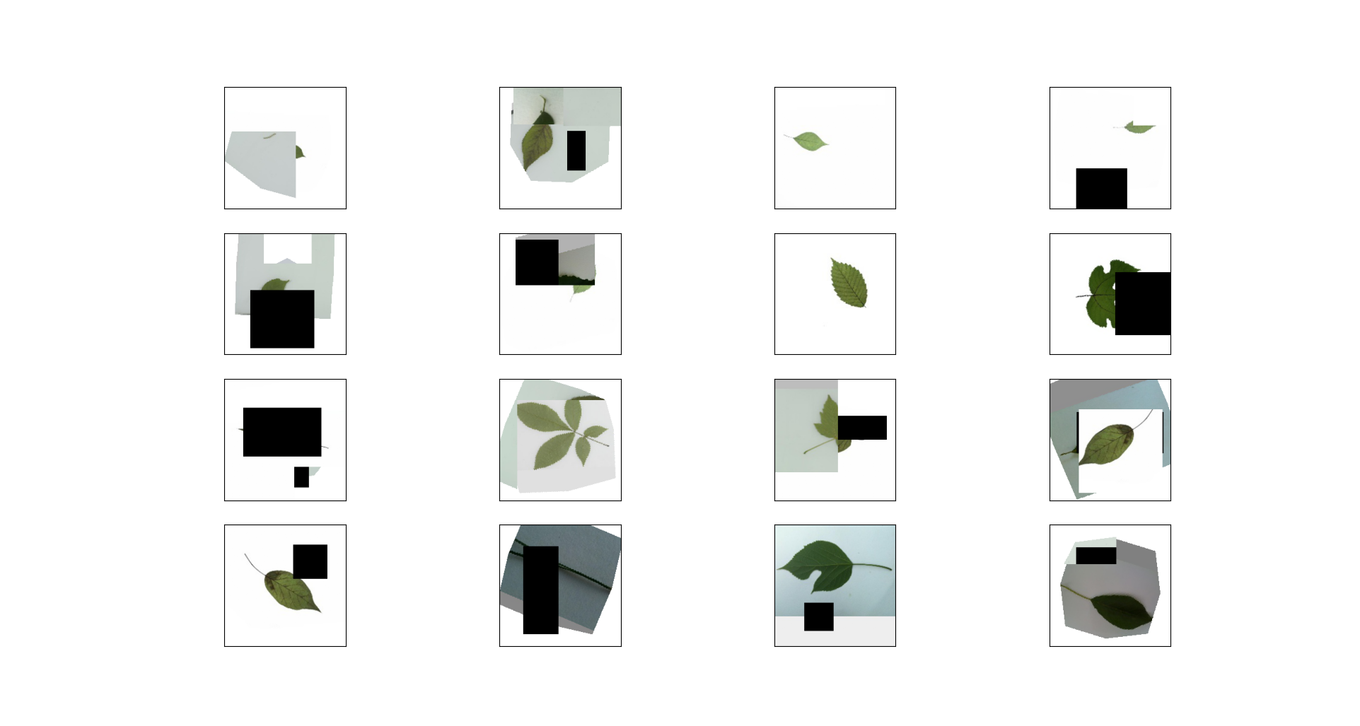 处理后树叶训练集