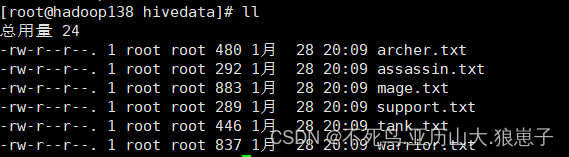 Hive（9）：Hive分区表