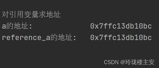 对引用变量求地址 运行结果