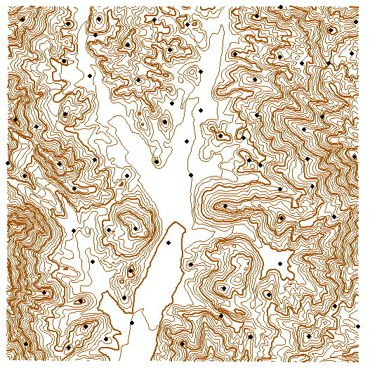 ArcGIS TIN地表面与栅格地表面的生成与互相转换_tin转栅格CSDN博客