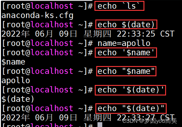 Linux Shell基础 梦因you而美的博客 Csdn博客