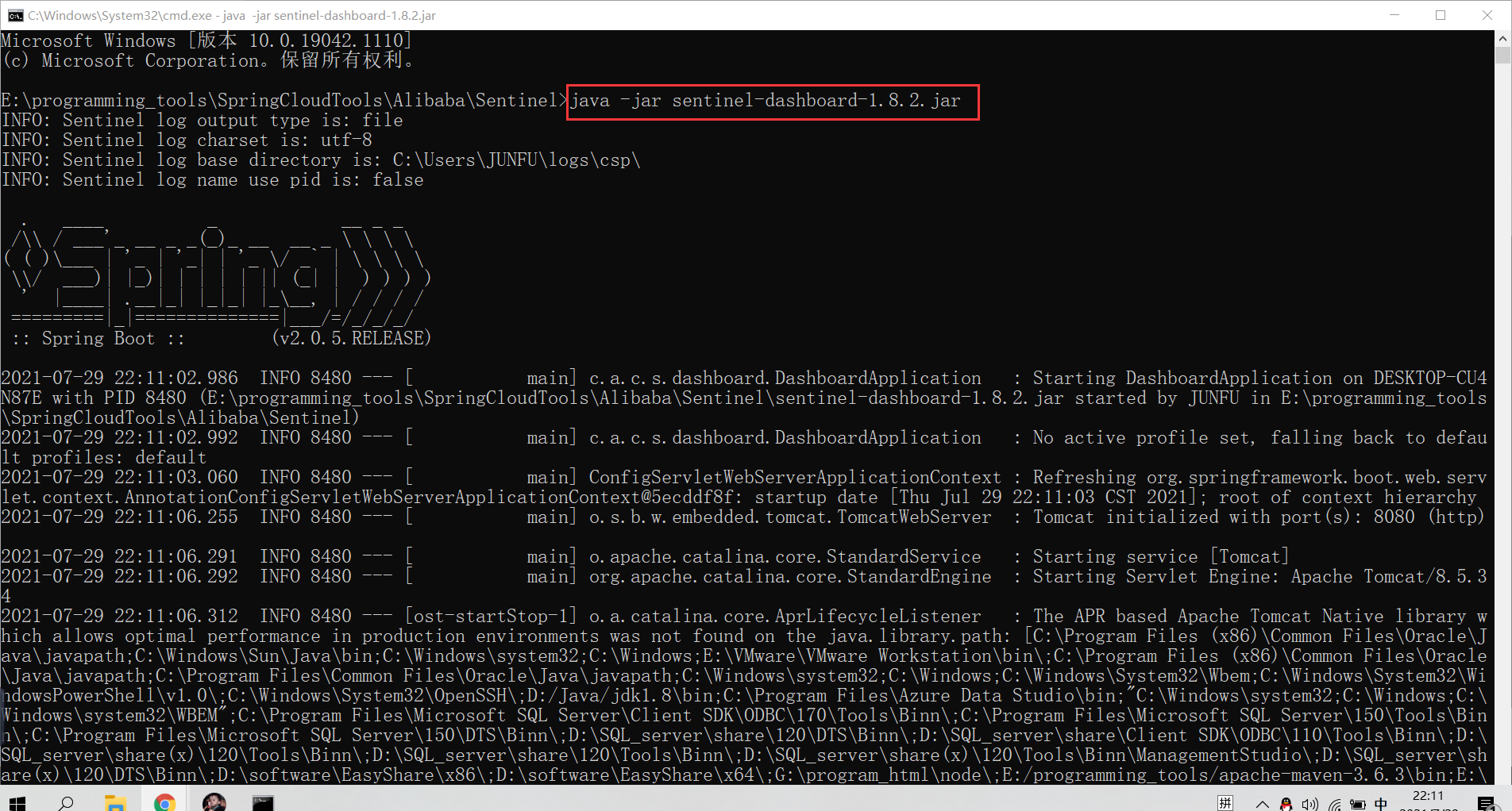 sentinel介绍及下载