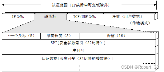 AH协议格式