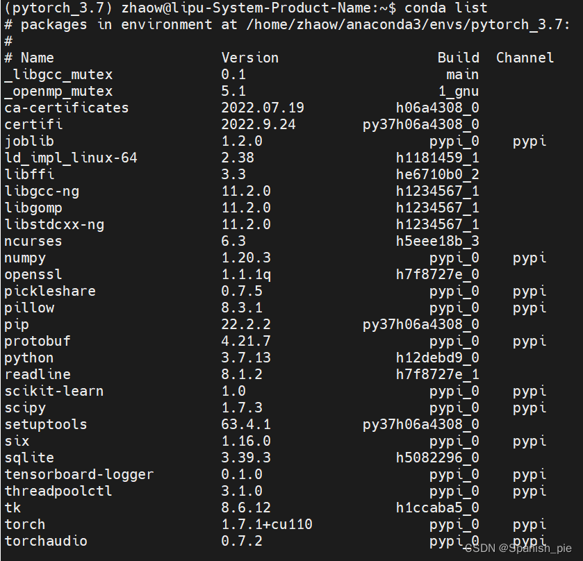 服务器Linux系统安装pytorch配置环境