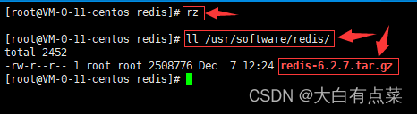 上传redis-6.2.7.tar.gz安装包