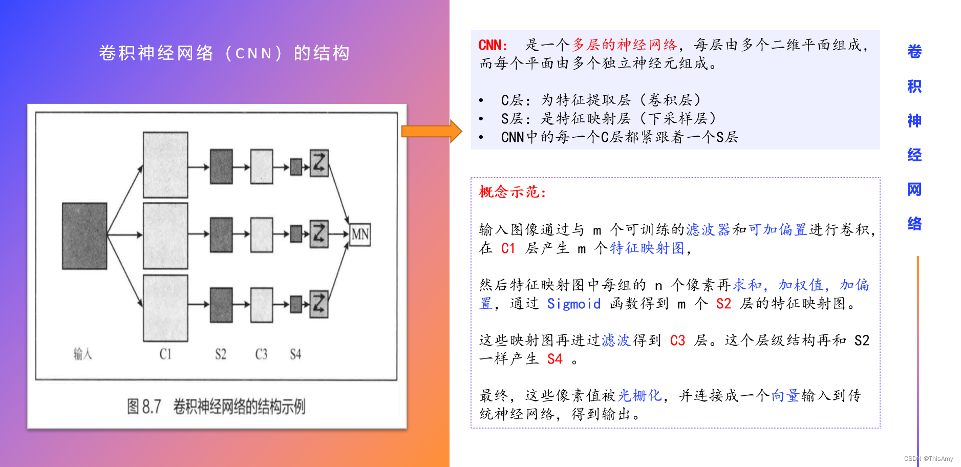 卷积神经网络（CNN）的结构