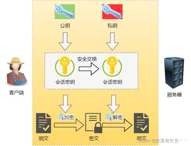 在这里插入图片描述