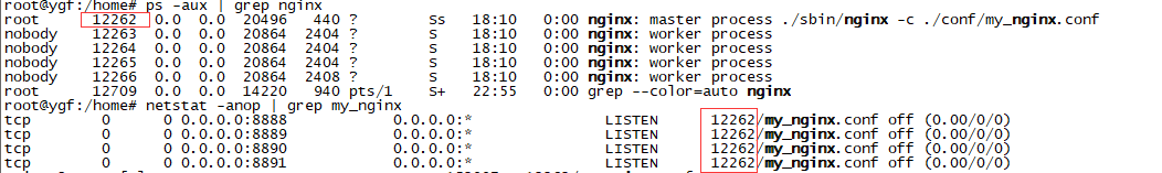 Nginx高级配置