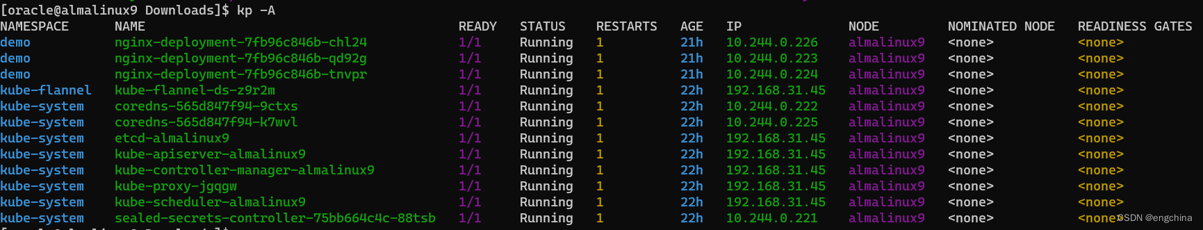 Kubernetes 体验 kubecolor