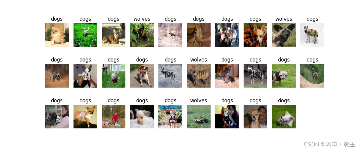 【MindSpore】简单使用Resnet50实现狗狼图片分类。附全部代码下载。