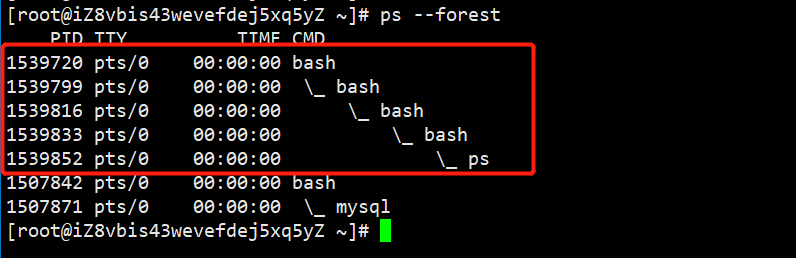 什么情况下会开启子shell Shell 进阶 Myysophia的博客 Csdn博客 启动子shell