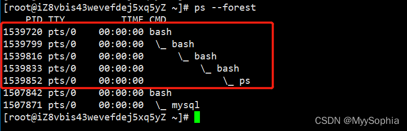 什么情况下会开启子shell Shell 进阶 Myysophia的博客 Csdn博客 启动子shell 什么情况下会开启子shell Shell 进阶 Myysophia的博客 Csdn博客 启动子shell