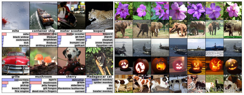 Alexnet论文介绍（超详细）——ImageNet Classification with Deep Convolutional Neural Networks