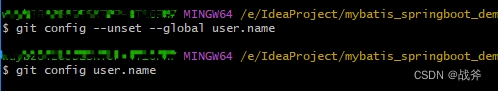 $ git config user.name