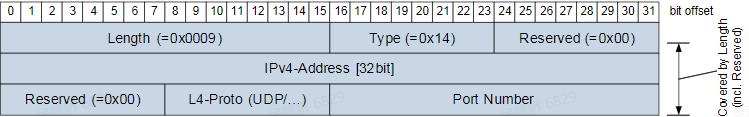 IPv4多播Option格式