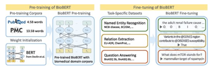 BioBERT: a pre-trained biomedical language representation model for ...