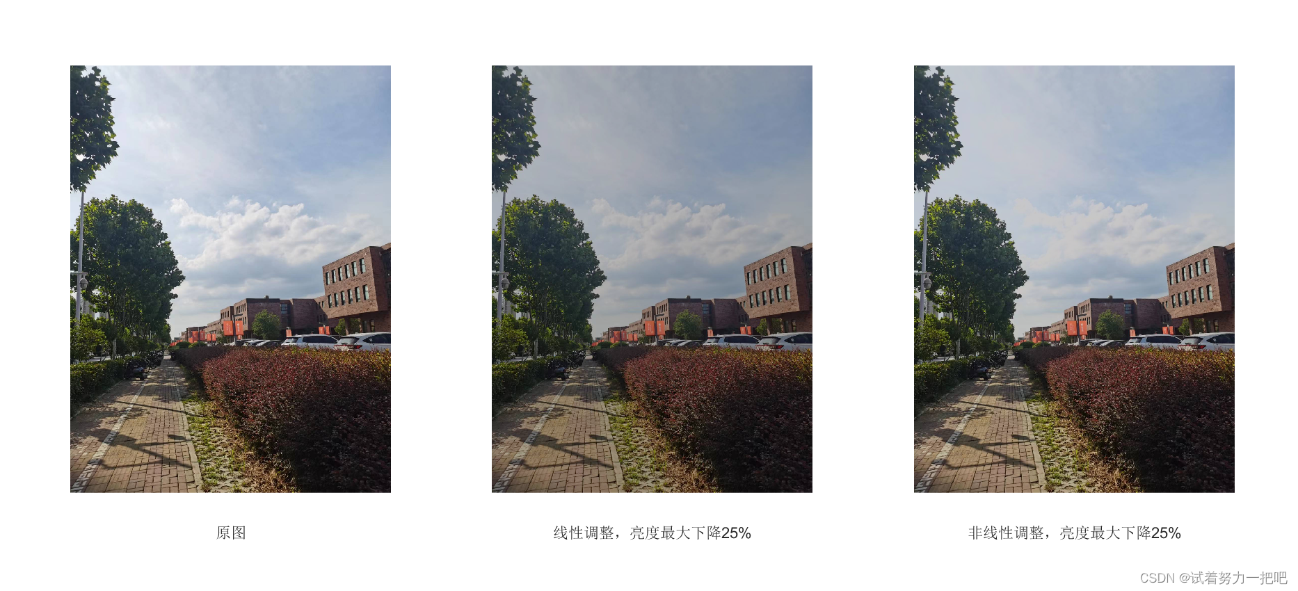 调整结果分析
