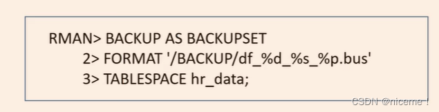 oracle 19c 容器数据库rman备份与恢复配置(一)_19c 备份还原-CSDN博客