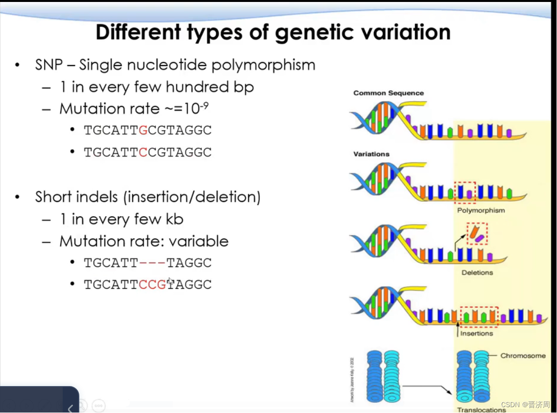 基因组发展简史以及中心法则的扩展epigenitics>dna>rna>protein微