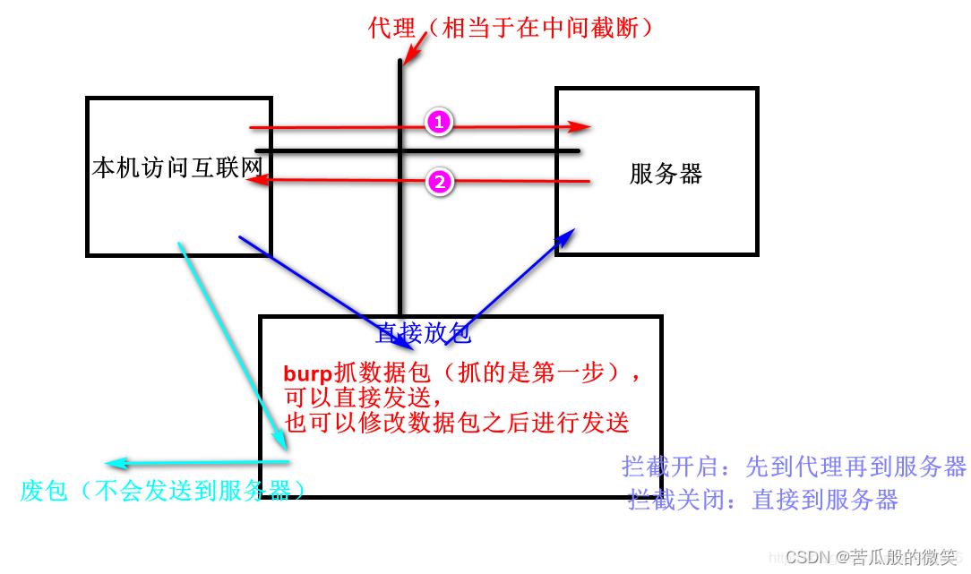 Burp Suite---渗透测试工具