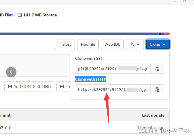 Gitlab Clone With Http 10 CSDN