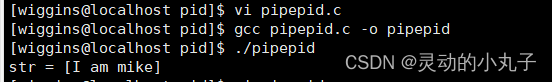 pipepid