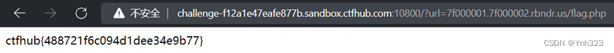 WEB＞SSRF(URL Bypass,数字IP Bypass,302跳转Bypass,DNS重绑定Bypass)