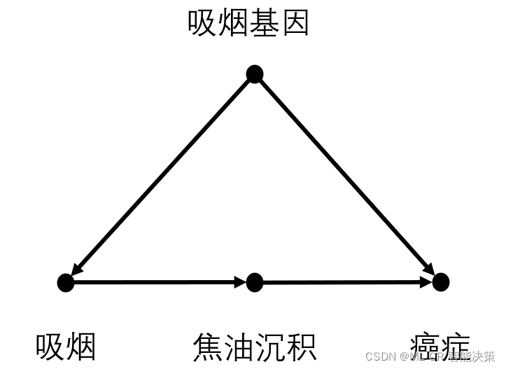 吸烟案例的因果图