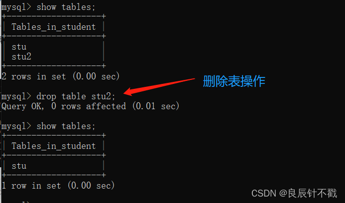 【初识数据库】进入数据库的大门+数据库基本操作