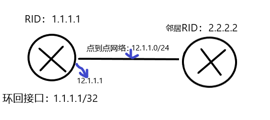 OSPF的LSA