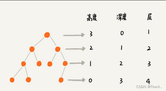 go数据结构(二叉树的概念)