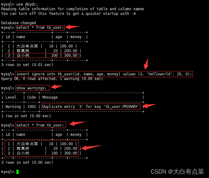 在普通 insert into 基础上加 ignore 关键字，再看看是否能正确插入，结果又是怎样