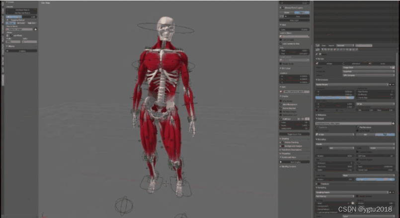 Blender插件：Muscle System