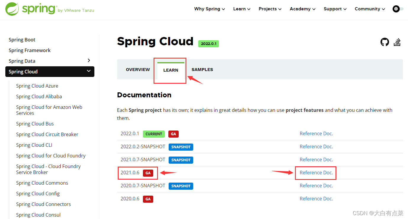 切换到“LEARN”标签，点开“2021.0.6 GA”右边的“Reference DOC.链接