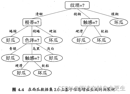 最终决策树