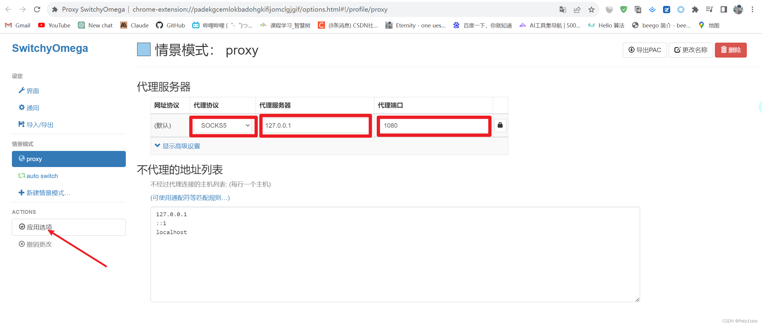Go实现socks5服务器_golang代理服务器socks5CSDN博客