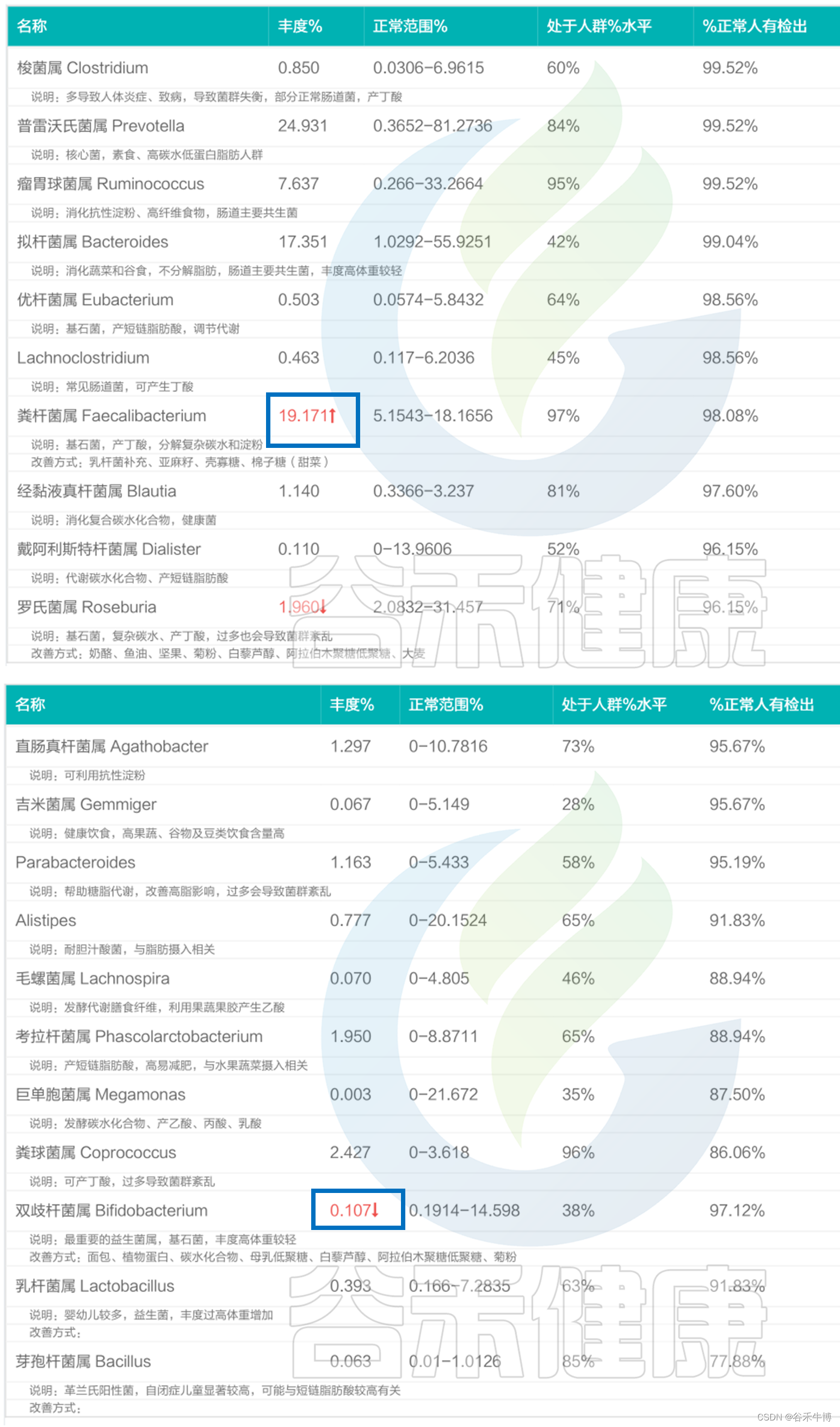 肠道健康从核心菌属开始：肠道菌群的关键