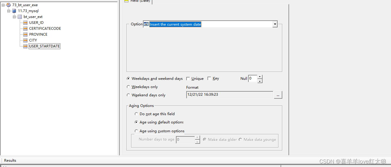 DataFactory根据字段类型在mysql插入数据