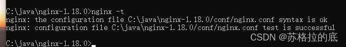 配置nginx域名转发