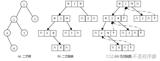 【初阶数据结构】树（tree）的基本概念——C语言