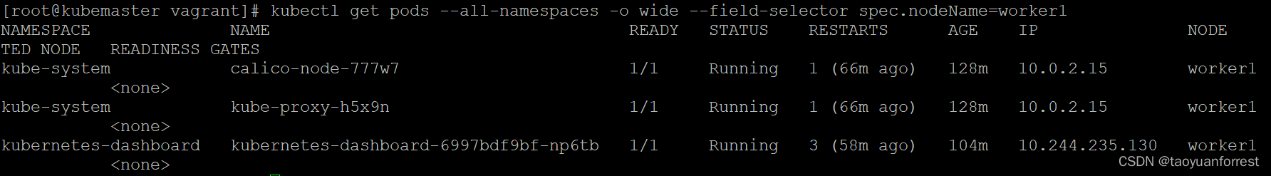 k8s 集群安装(vagrant + virtualbox + CentOS8)