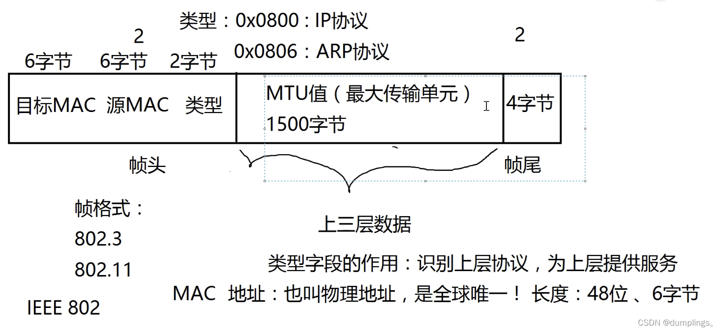 数据链路层帧的结构