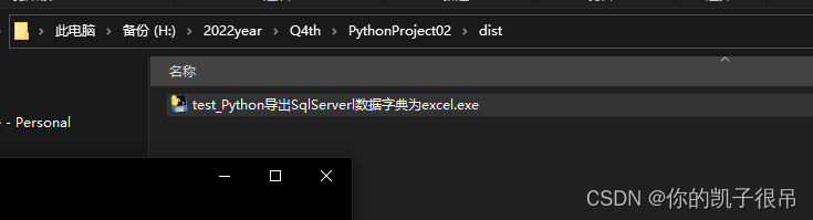 python如何打包成应用