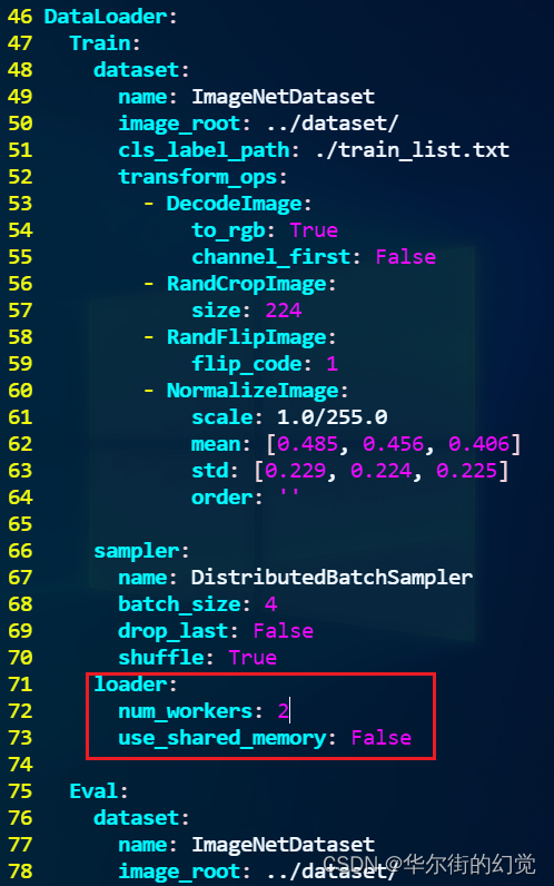 Paddle炼丹炉炸了Unexpected BUS error encountered in DataLoader worker