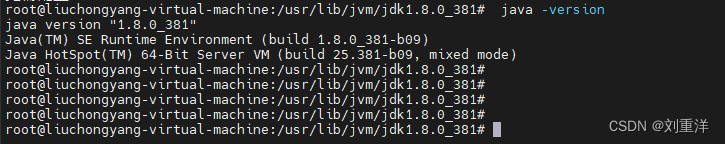 Ubuntu安装JDK8(直接下载jdk压缩包方式)