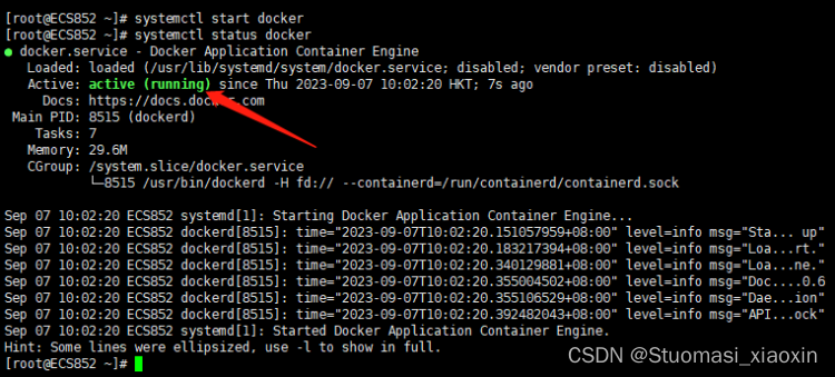 sudo docker run