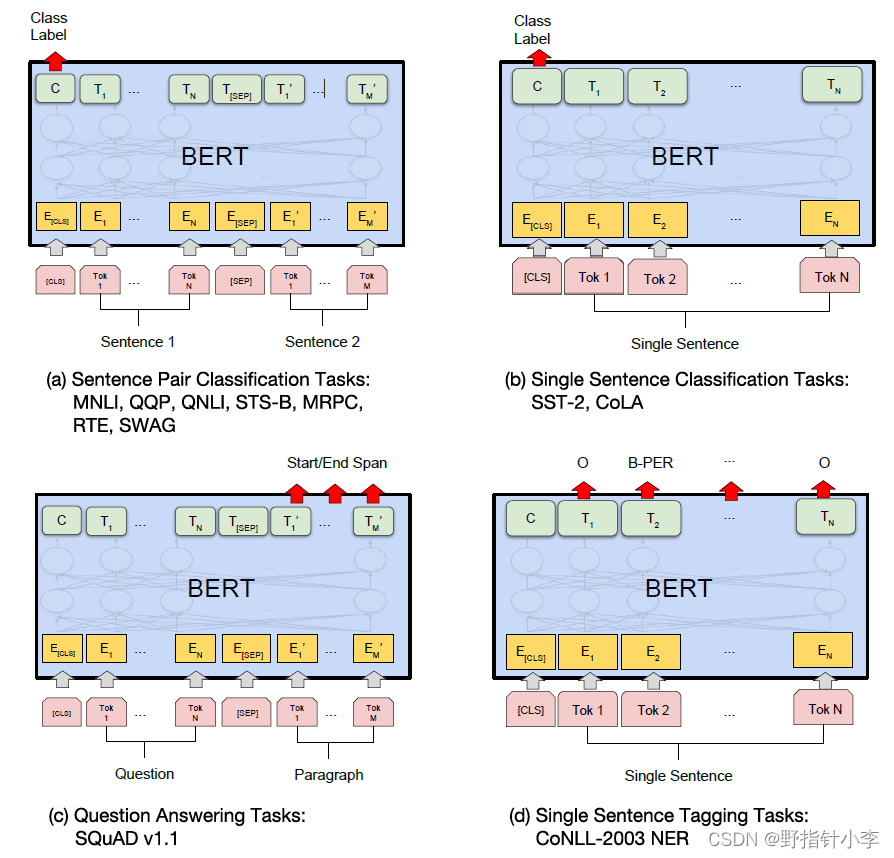 BERT downstream tasks